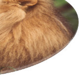 成人雄ライオン カッティングボード (角)