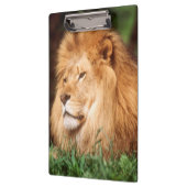 成人雄ライオン クリップボード (左)