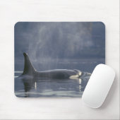 成体の雌のシャチ (Orcinus Orca)、ピュージェット マウスパッド (マウス)