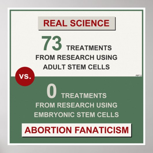 成体幹細胞研究 ポスター (正面)