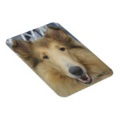 成体粗冷マグネット マグネット (右側)