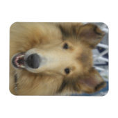 成体粗冷マグネット マグネット (横)