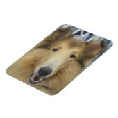 成体粗冷マグネット マグネット (左側)