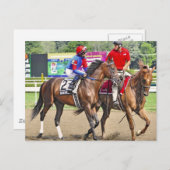 成功したアピール・ディバインによる得意分野 ポストカード (正面/裏面)