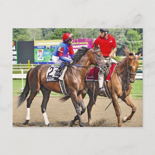 成功したアピール・ディバインによる得意分野 ポストカード (正面)