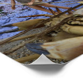 成功した狩り。ポスター ポスター (角)