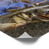 成功した狩り。ポスター ポスター (角)