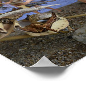 成功した狩り。ポスター ポスター (角)