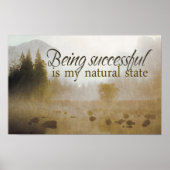 「成功している」モチベーション肯定 ポスター (正面)