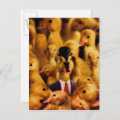 成功のアヒルのために服を着せられる ポストカード (正面/裏面)