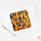 成功のカモの服を着ている スクエアシール (封筒)