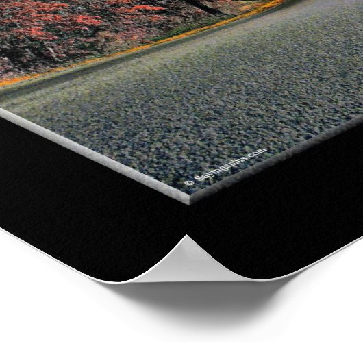 成功への道 ポスター (角)