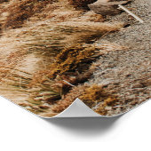 成功への道 – ライオン – ジム，ハッスルのポスター ポスター (角)