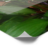 成功ウィズダムことわざ写真ポスター ポスター (角)