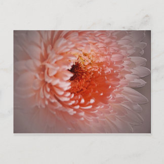 成功生まれする ポストカード