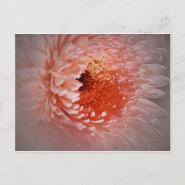 成功生まれする ポストカード