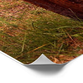 成功 – TDGalleryによる大規模 ポスター (角)