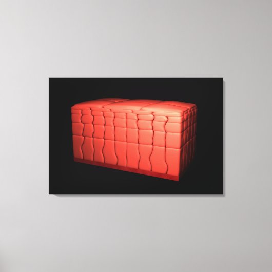 成層扁平上皮概念1 キャンバスプリント (正面)