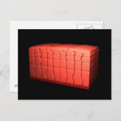 成層扁平上皮概念1 ポストカード (正面/裏面)