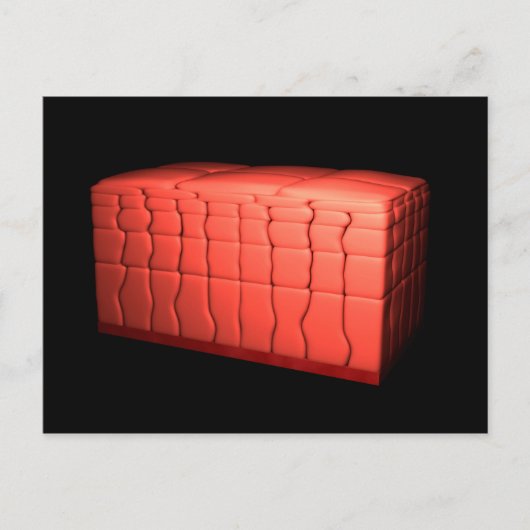 成層扁平上皮概念1 ポストカード (正面)