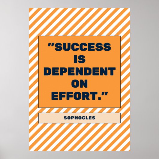 成果の発表：成功への鍵としての努力 ポスター (正面)