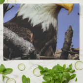 成熟したオスのハゲのイーグル接頭ショット キッチンタオル (折り畳み)