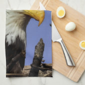 成熟したオスのハゲのイーグル接頭ショット キッチンタオル (四つ折り)