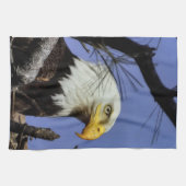 成熟したオスのハゲのイーグル接頭ショット キッチンタオル (横)