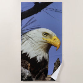 成熟したオスのハゲのイーグル接頭ショット ビーチタオル