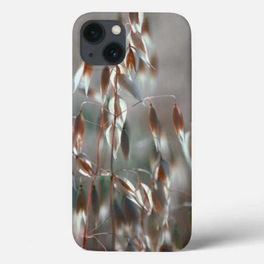 成熟したオーツ麦（Avena Sativa）のクローズアップ。Ceres、Boland Case-Mate iPhoneケース (裏面)