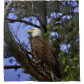 成熟した禿鷲 シャワーカーテン (正面)