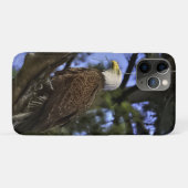 成熟した禿鷲 Case-Mate iPhoneケース (裏面(横))