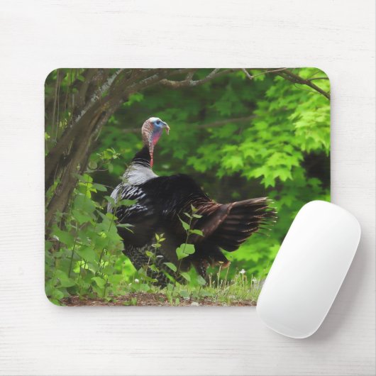 成熟した雄の野生の七面鳥 マウスパッド (マウス)
