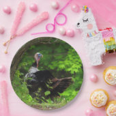 成熟した雄の野生の七面鳥 – 感謝祭 ペーパープレート (パーティー)