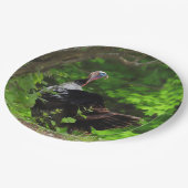 成熟した雄の野生の七面鳥 – 感謝祭 ペーパープレート (アングル)