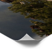 成熟バルドイーグル – ファインアートプリント ポスター (角)