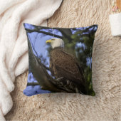 成熟バルドイーグル(2写真)装飾用クッション クッション (ブランケット)