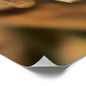 成熟大豆 ポスター (角)