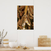 成熟大豆 ポスター (キッチン)