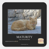 成熟度 スクエアシール (正面)