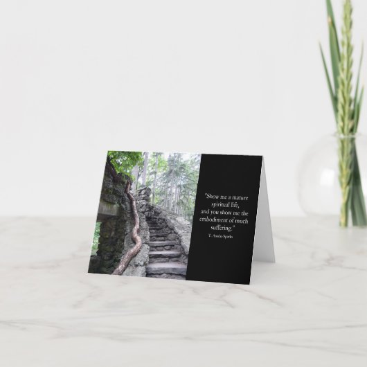 成熟度…ノテカード カード (正面)