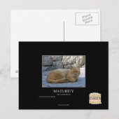 成熟度 ポストカード (正面/裏面)