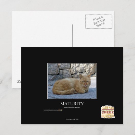 成熟度 ポストカード (正面/裏面)
