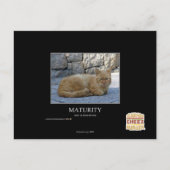 成熟度 ポストカード (正面)