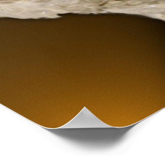 成熟踊り ポスター (角)