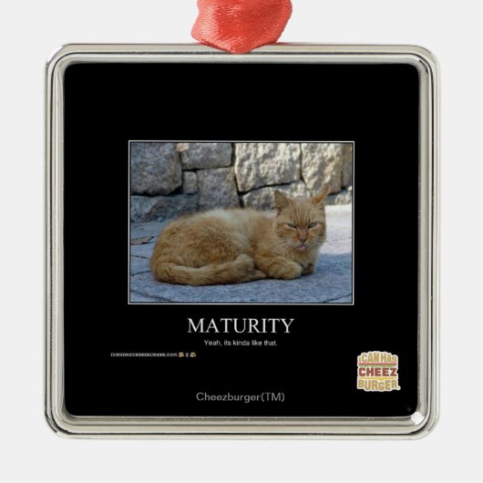 成熟 メタルオーナメント (正面)