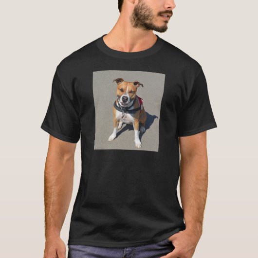 成犬 アメリカン・スタッフォードシャー・テリア 犬 Tシャツ (正面)