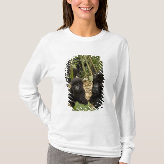成獣と幼児のマウンテンゴリラ Tシャツ (正面)