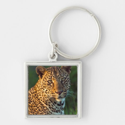 成獣になったヒョウ(Panthera Pardus)の子 キーホルダー (正面)