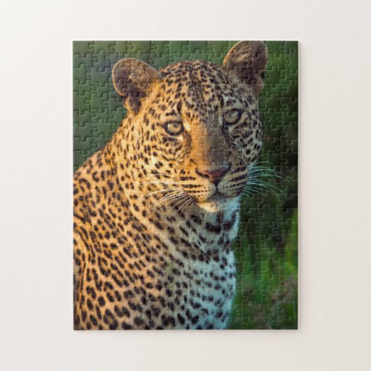 成獣のヒョウ(Panthera pardus)の子 ジグソーパズル (縦)